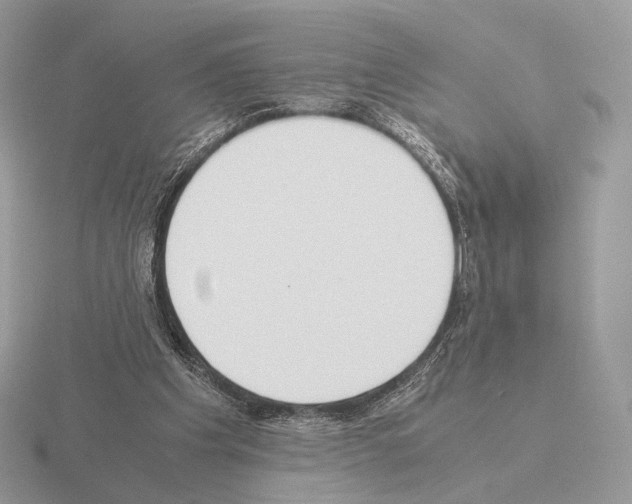 X0000115300201200912141123