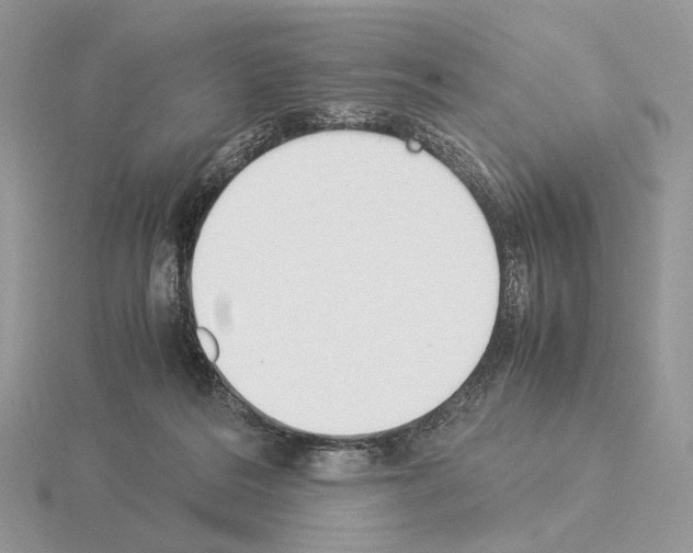 X0000115300220200912141123