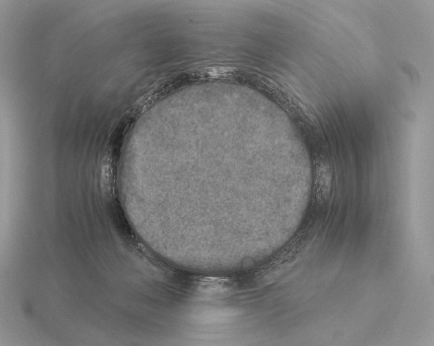X0000115300222200912141123