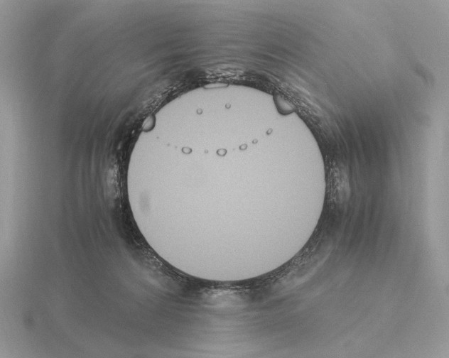 X0000115300224200912141123
