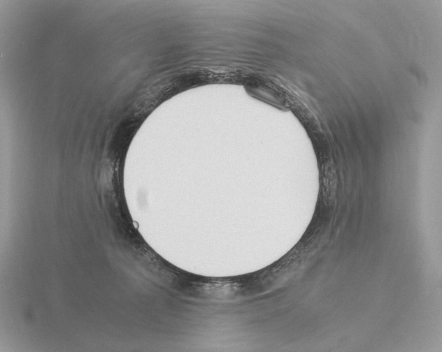 X0000115300225200912141123
