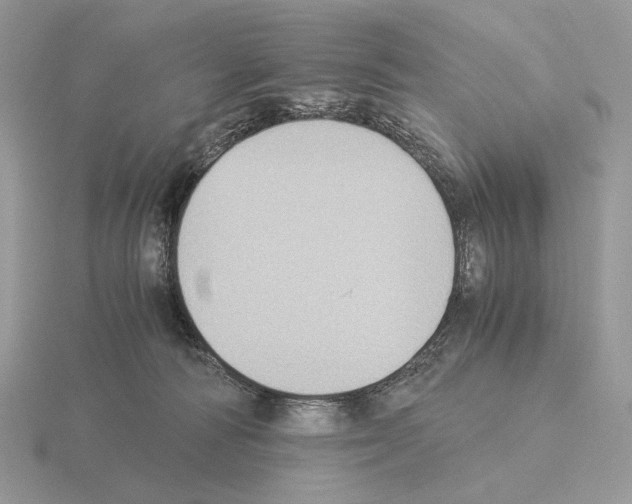 X0000115300226200912141123