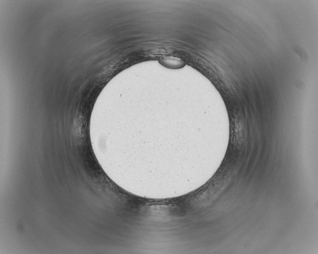 X0000115300228200912141123