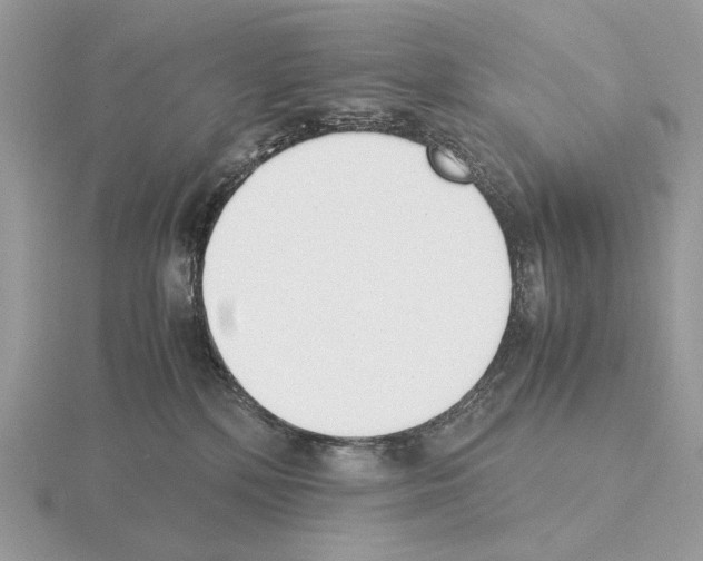 X0000115300232200912141123