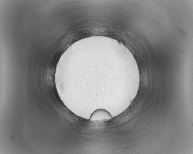 X0000115300234200912141123