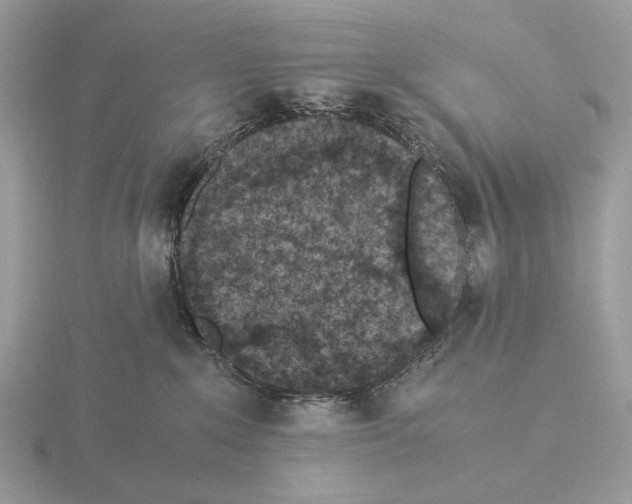 X0000115300235200912141123