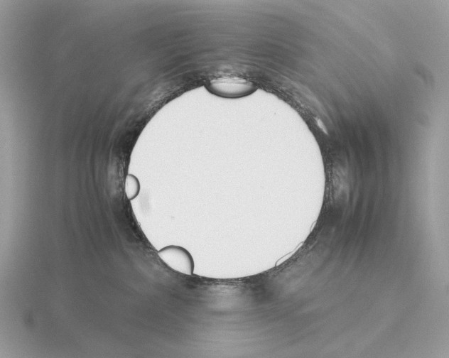 X0000115300236200912141123