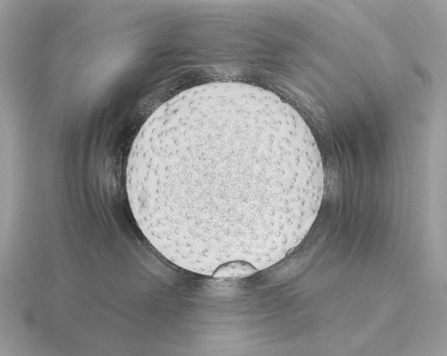 X0000115300238200912141123
