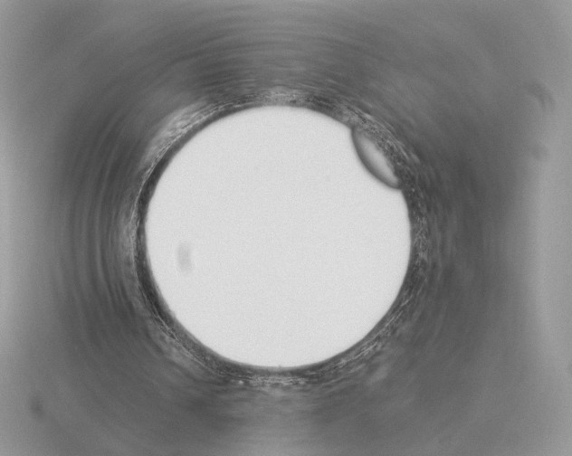 X0000115300242200912141122