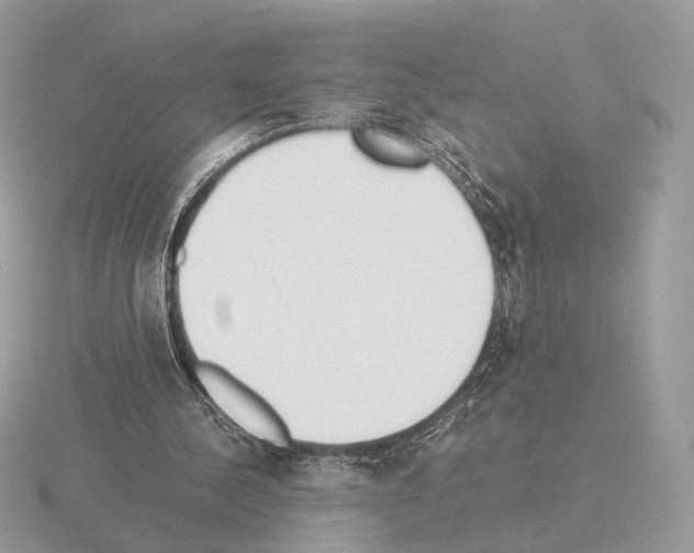 X0000115300244200912141122