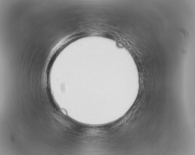 X0000115300246200912141122