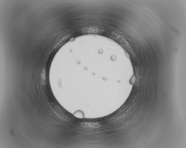 X0000115300251200912141122