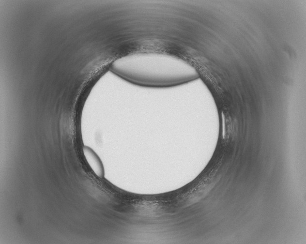 X0000115300252200912141122