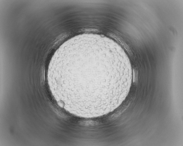 X0000115300253200912141122