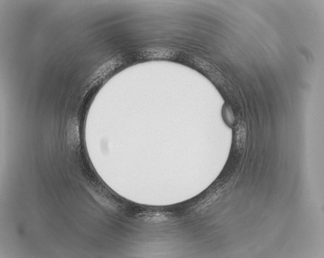 X0000115300254200912141122