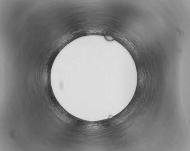 X0000115300261200912141122