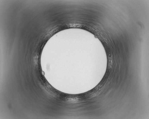 X0000115300263200912141122
