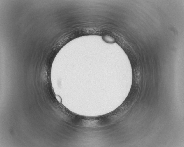 X0000115300266200912141122