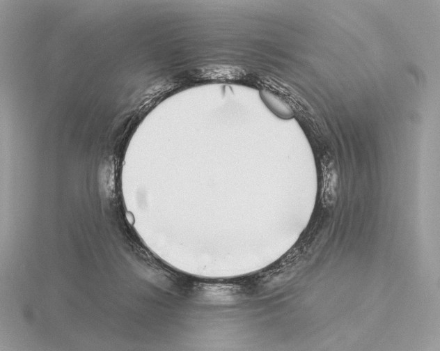 X0000115300268200912141122