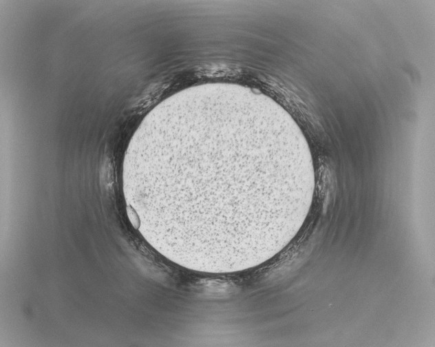 X0000115300272200912141122