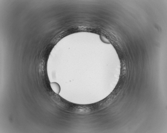 X0000115300275200912141122