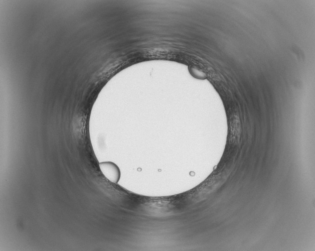 X0000115300278200912141123