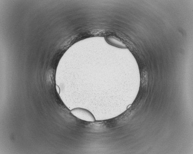 X0000115300280200912141123