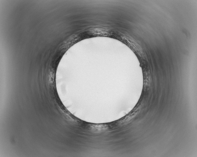 X0000115300281200912141123