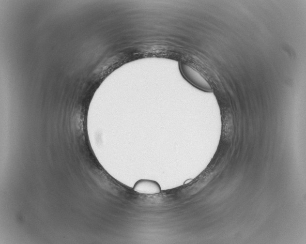 X0000115300282200912141123