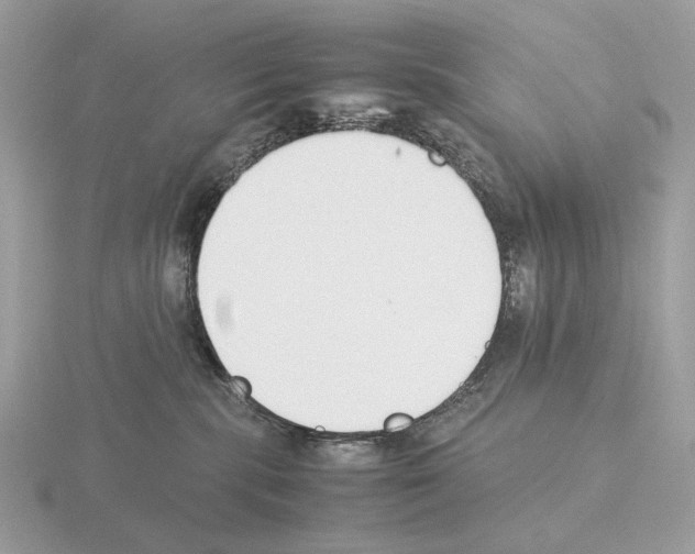 X0000115300283200912141123