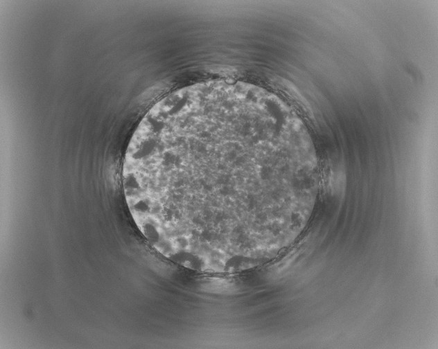 X0000115300285200912141123