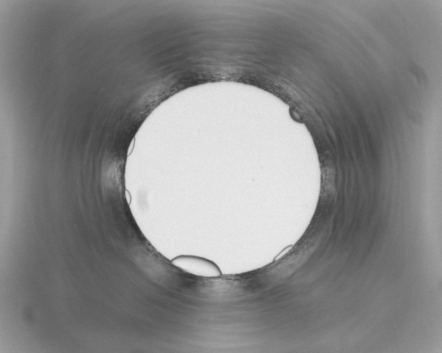 X0000115300286200912141123