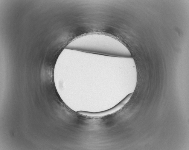 X0000115300288200912141123