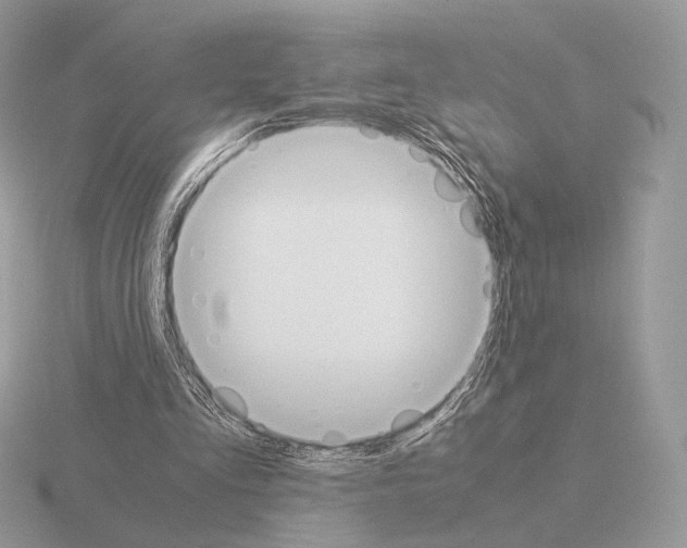X0000115300293200912141122