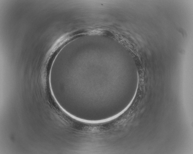 X0000115300295200912141122