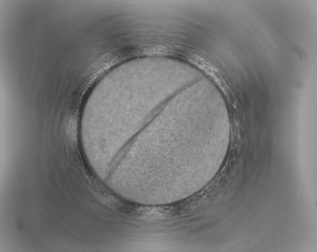 X0000115300297200912141122