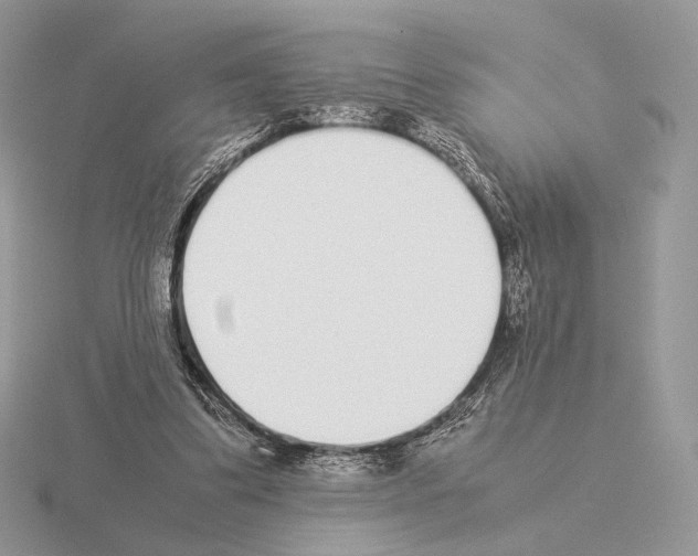 X0000115300299200912141122