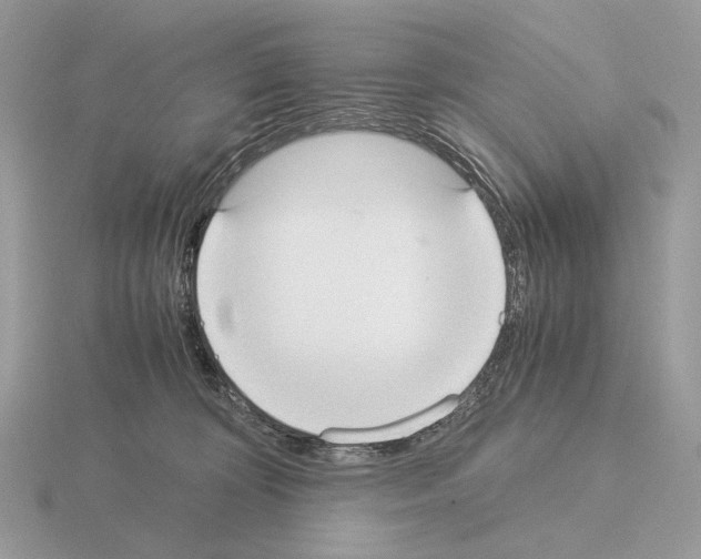 X0000115300324200912141122