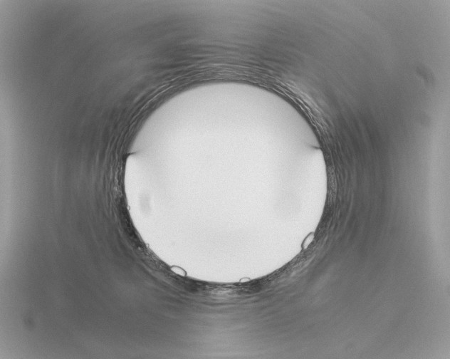X0000115300325200912141122