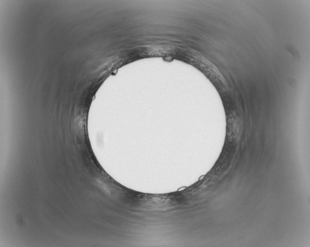 X0000115300329200912141122