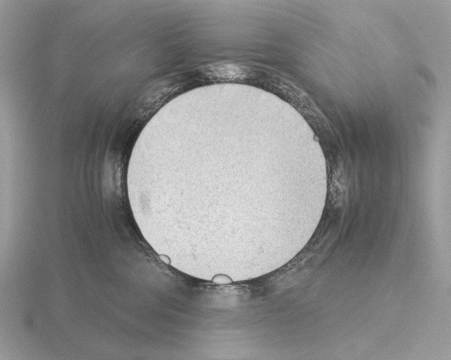 X0000115300330200912141121