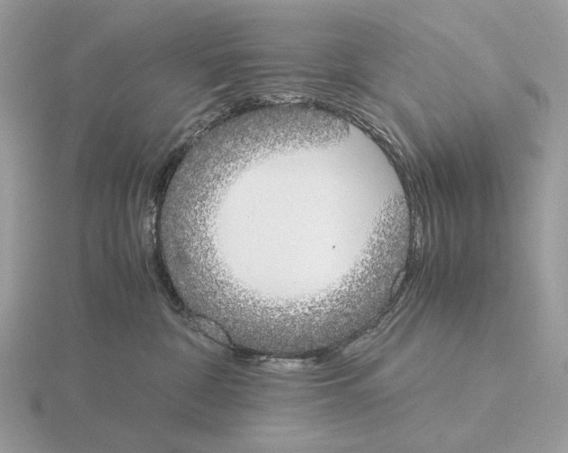 X0000115300332200912141121