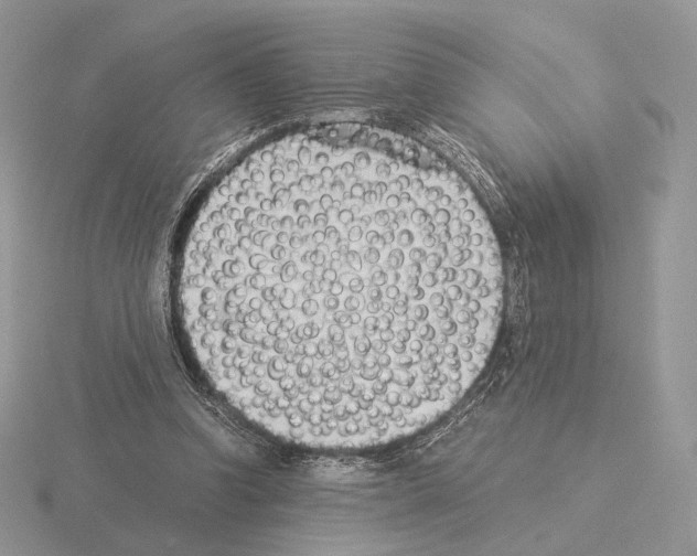 X0000115300346200912141121