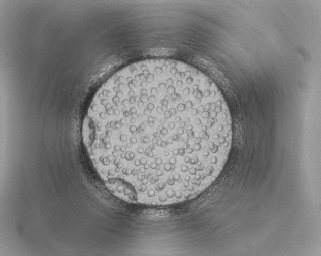X0000115300354200912141121