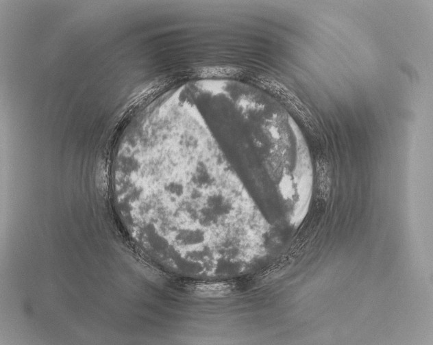 X0000115300357200912141121