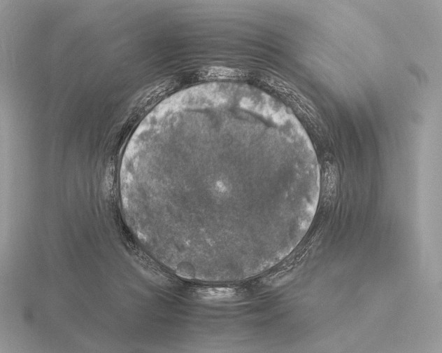 X0000115300361200912141121