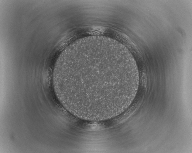 X0000115300370200912141121