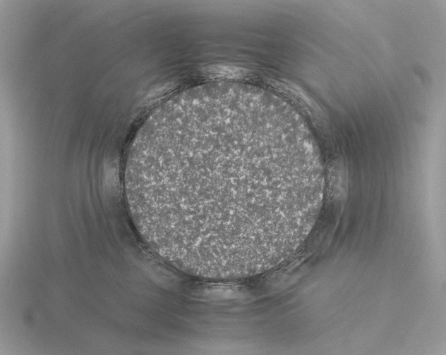 X0000115300377200912141121