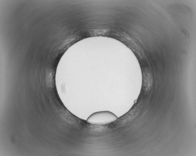X0000115300378200912141121