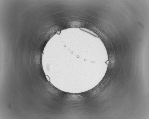 X0000115300379200912141121